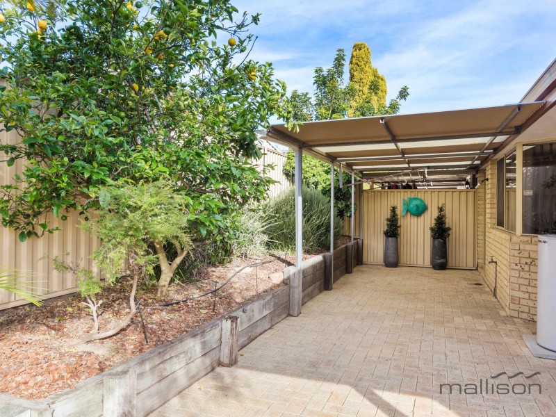 1B Pine Grove, Kardinya WA 6163