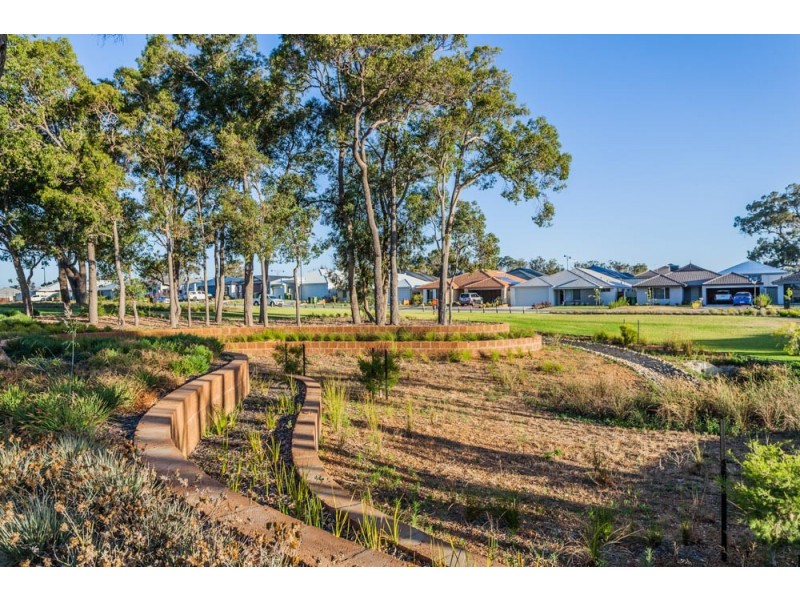 3 Molonglo Crescent, Baldivis WA 6171