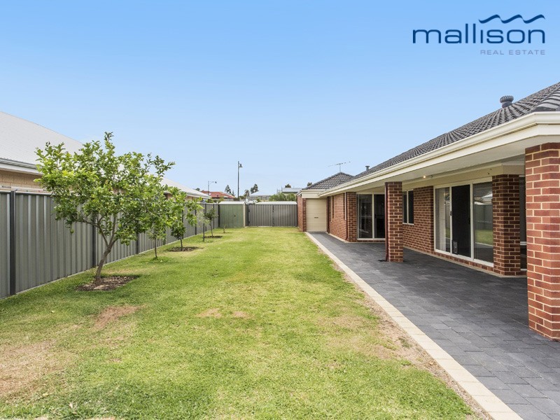 43 Arrino Parade, Baldivis WA 6171