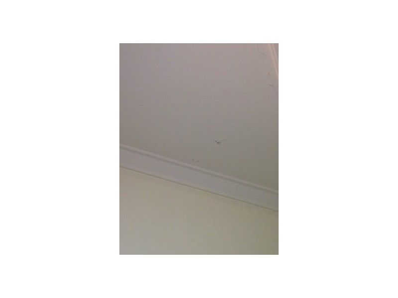 21A Raleigh Street, Carlisle WA 6101