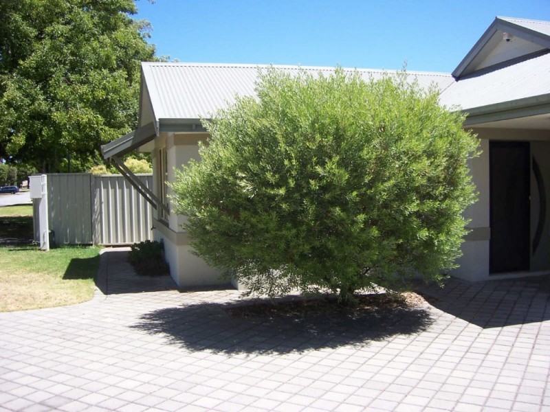 16A Weston Street, Carlisle WA 6101