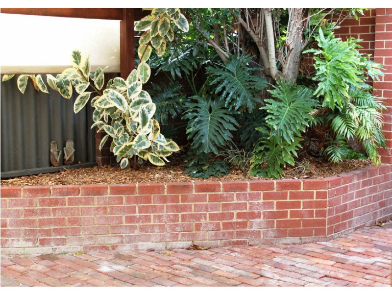 105A Beatty Avenue, East Victoria Park WA 6101