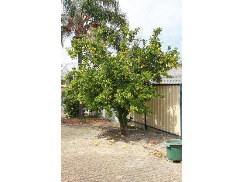 352 Fulham Street, Cloverdale WA 6105