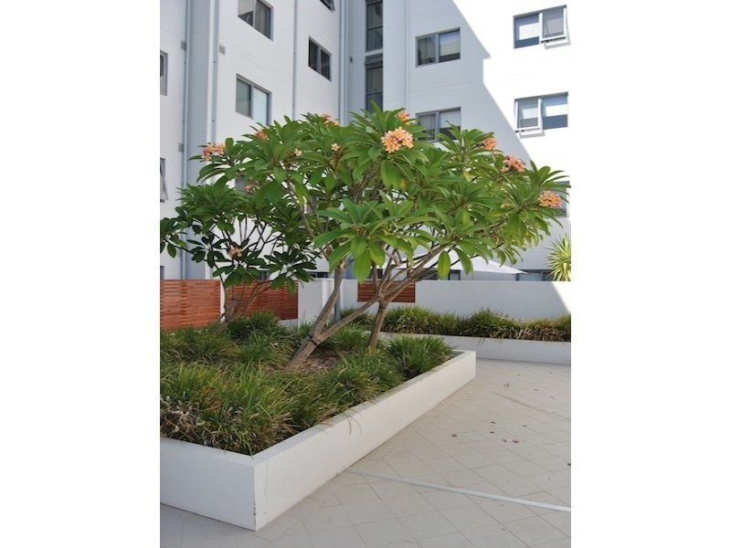 67/4 Delhi Street, West Perth WA 6005