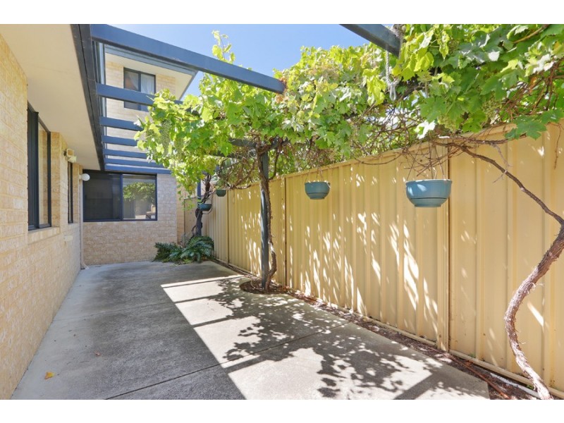 7 Hill Street, Bayswater WA 6053