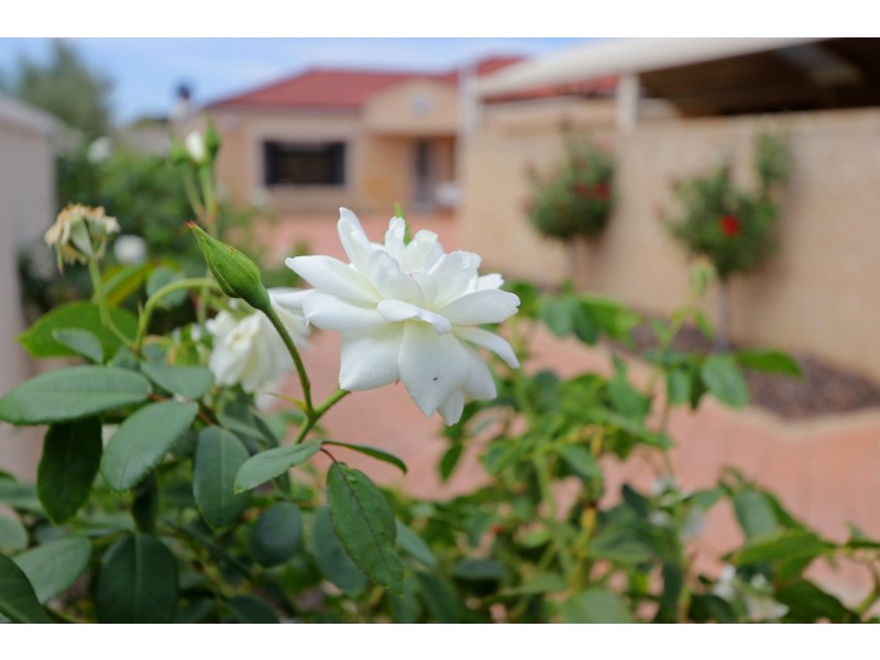 332B Coode Street, Dianella WA 6059