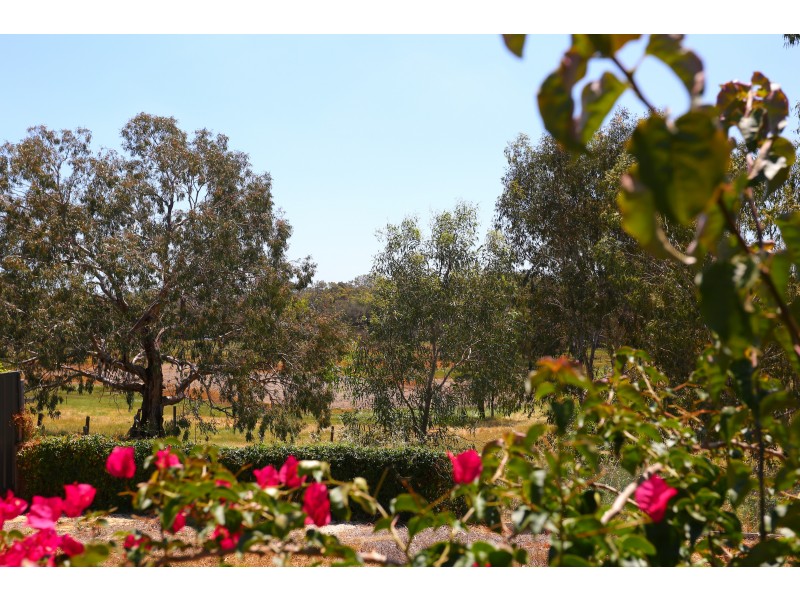 84 Terrace Road, Guildford WA 6055