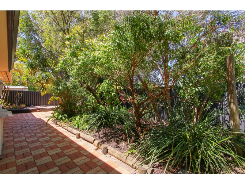 19B Clarke Way, Bassendean WA 6054