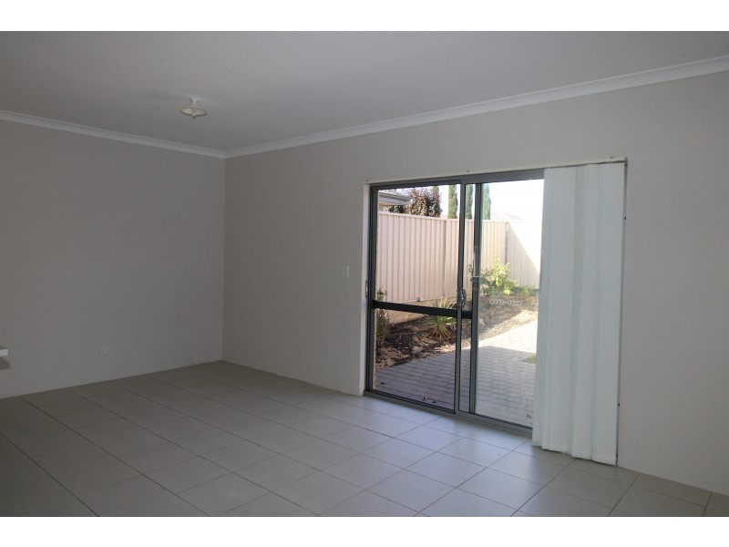 117 Shepperton Drive, Butler WA 6036