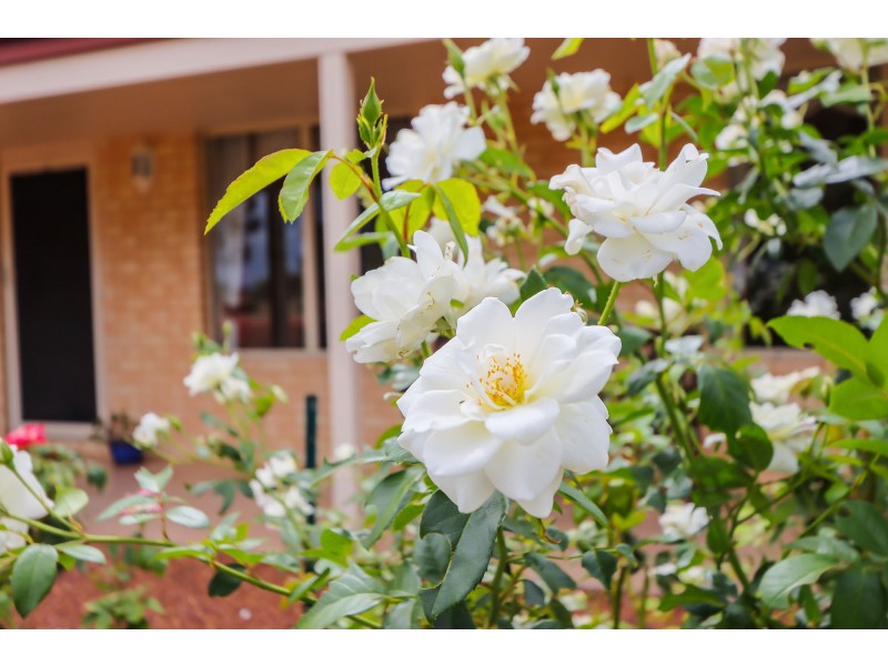 171 Salt Valley Road, Hoddys Well WA 6566