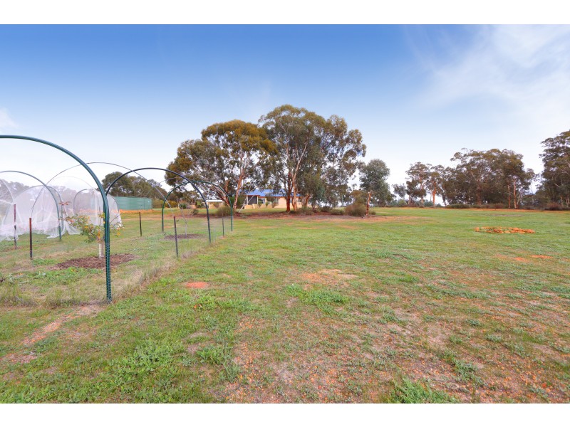 171 Salt Valley Road, Hoddys Well WA 6566