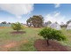 171 Salt Valley Road, Hoddys Well WA 6566