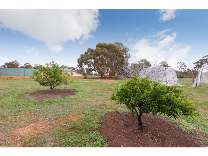 171 Salt Valley Road, Hoddys Well WA 6566