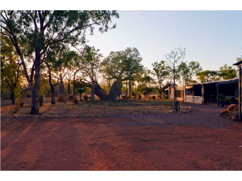 14 Weaber Plain Road, Kununurra WA 6743