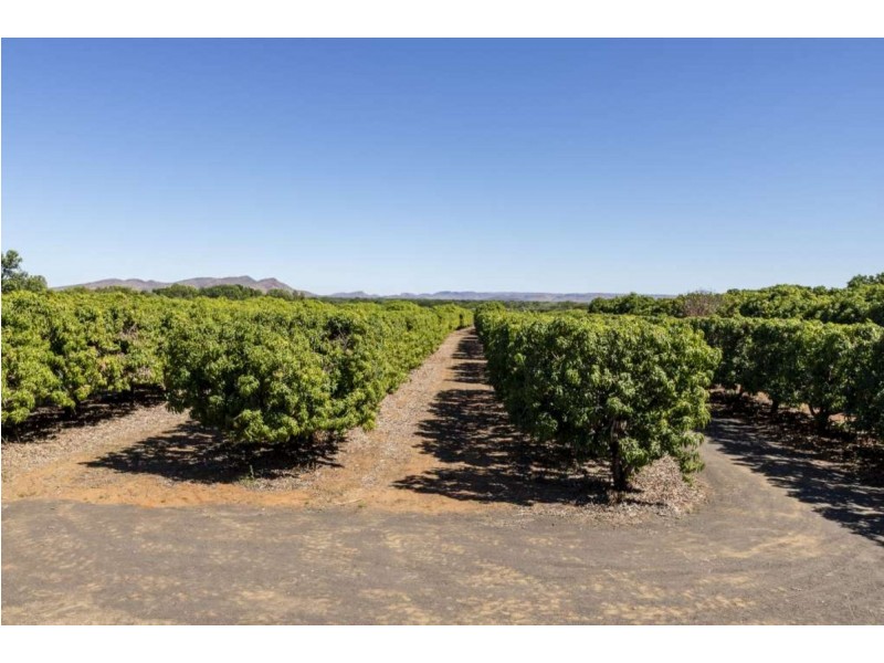 150 Whimbrel Road, Kununurra WA 6743