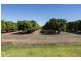 150 Whimbrel Road, Kununurra WA 6743