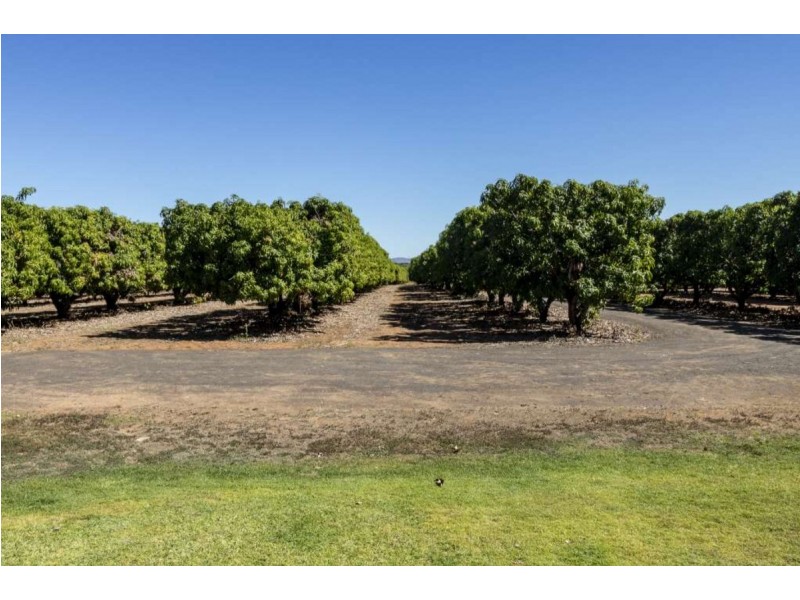 150 Whimbrel Road, Kununurra WA 6743