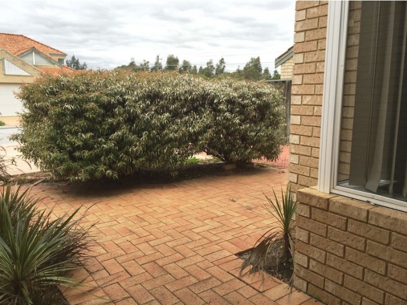 46 Lakefront Circle, The Vines WA 6069