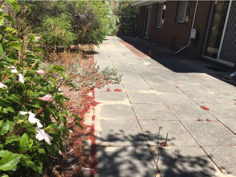 4/60 Ivanhoe Street, Bassendean WA 6054