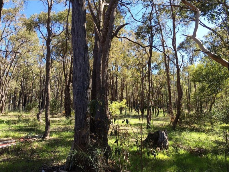 295 Hill Road, Parkerville WA 6081