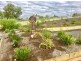 28 Fraser Close, Muchea WA 6501