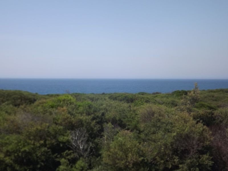 66 Surfbeach Road, Cape Paterson VIC 3995