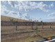 19 Barrier Avenue, Dalyston VIC 3992