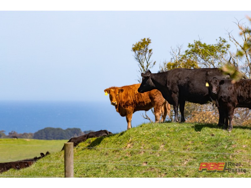 355 McDowell Road, Ryanston VIC 3992
