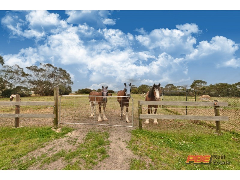 280 McCraws Road, Wattle Bank VIC 3995