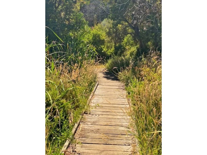 78 VIMINARIA ROAD, Harmers Haven VIC 3995