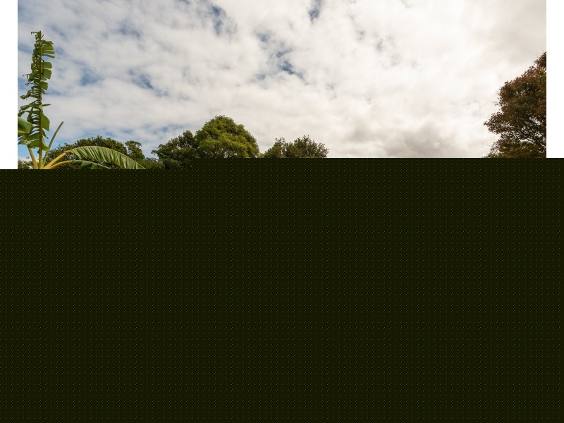 39 Turner Street, Wonthaggi VIC 3995