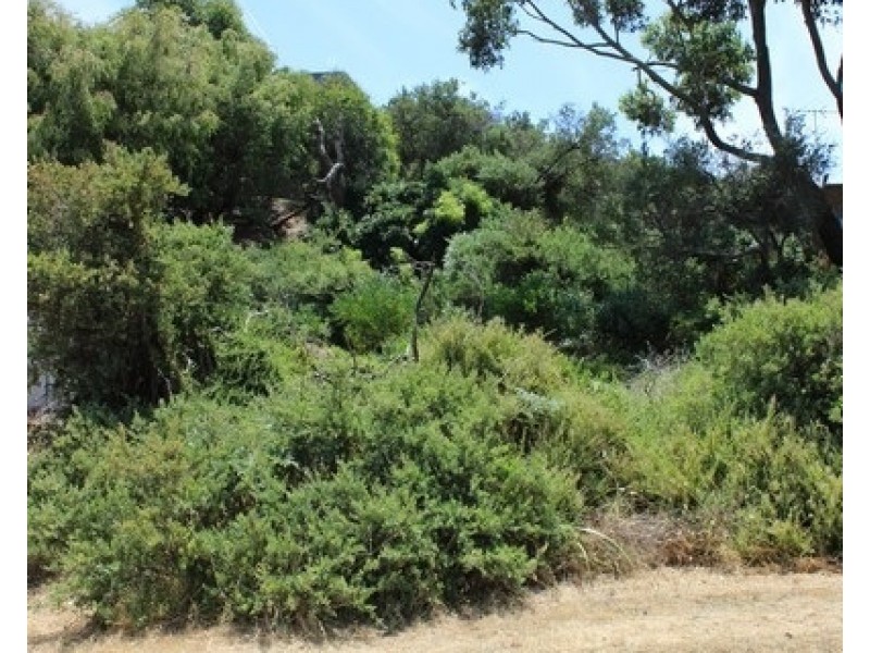 55 Louis Road, Venus Bay VIC 3956