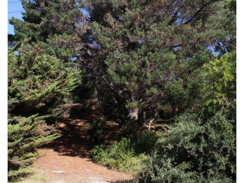 60 Louis Road, Venus Bay VIC 3956