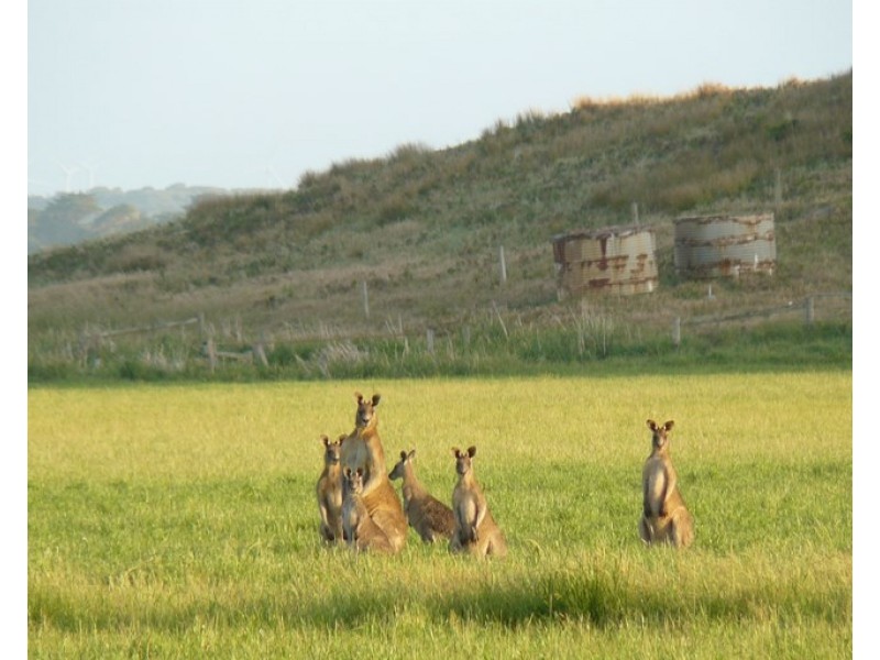 30. Pluto Drive, Venus Bay VIC 3956