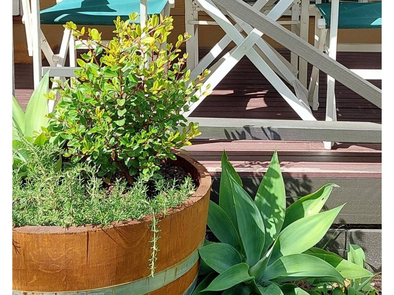 106 McIndoe Avenue, Venus Bay VIC 3956