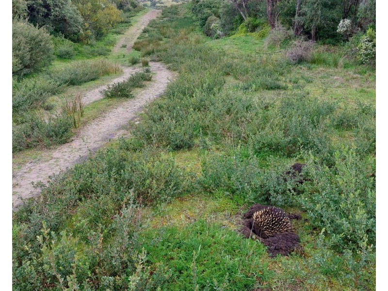 106 McIndoe Avenue, Venus Bay VIC 3956