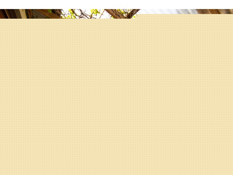 828 LEES ROAD, Venus Bay VIC 3956