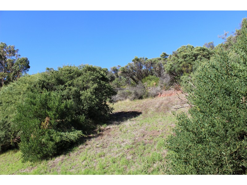 56. LANDSCAPE DRIVE, Venus Bay VIC 3956