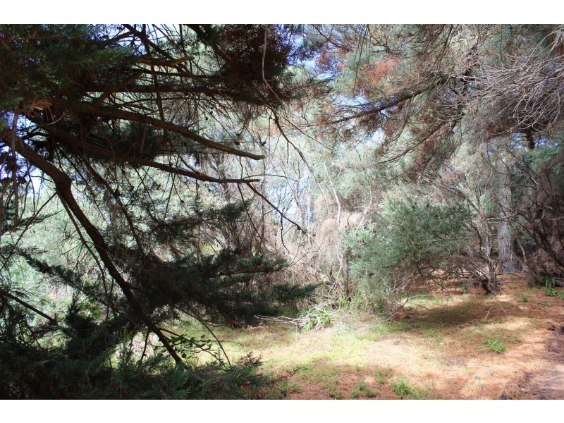 60 LOUIS ROAD, Venus Bay VIC 3956