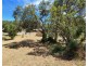 41 ALFRED CRESENT, Venus Bay VIC 3956