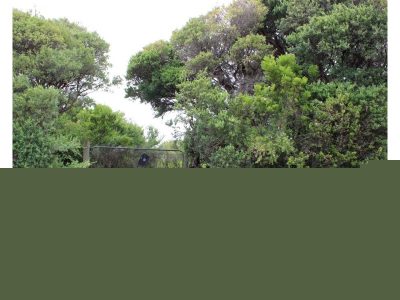 26 FISHERMANS ROAD, Venus Bay VIC 3956