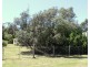 8 Jenkins Street, Venus Bay VIC 3956