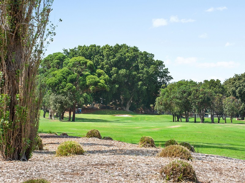 3 Weeney Street, Beverley Park NSW 2217