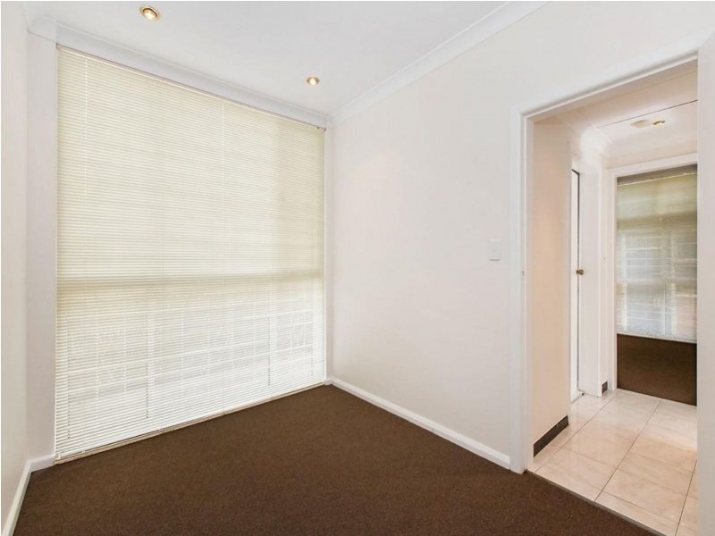 3/41A Anzac Parade, Kensington NSW 2033