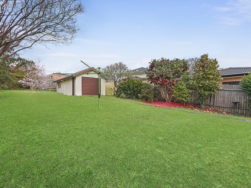 53 Shaw Street, Bexley North NSW 2207