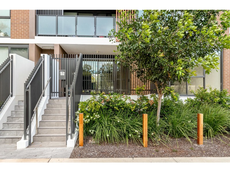 12 Midjuburi Lane, Kogarah NSW 2217