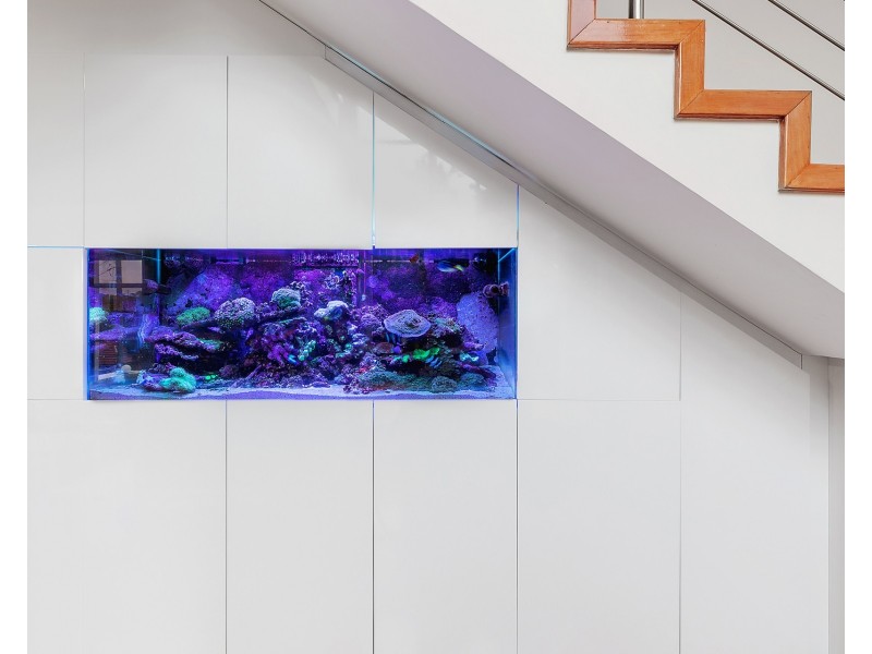 5 Laycock Street, Bexley North NSW 2207