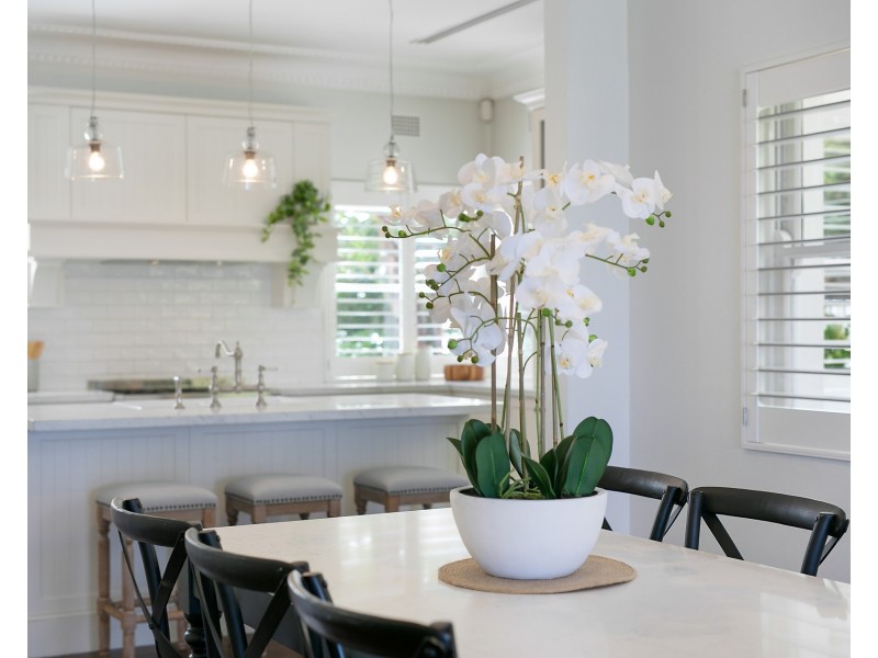 26 Primrose Avenue, Sandringham NSW 2219