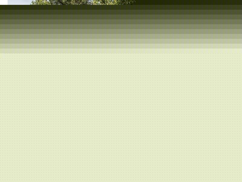 6A Duncan Street, Punchbowl NSW 2460