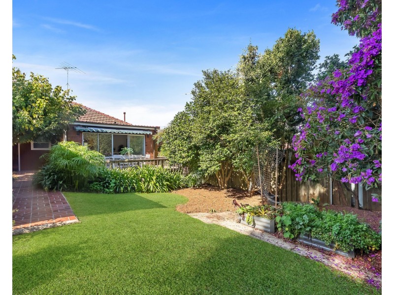 65 Kuroki Street, Penshurst NSW 2222